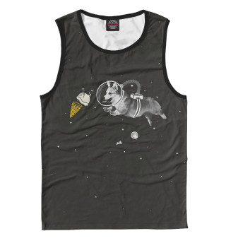 Space Welsh Corgi