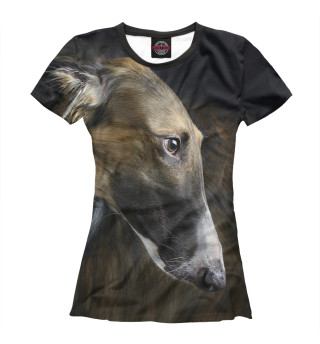 Русская борзая