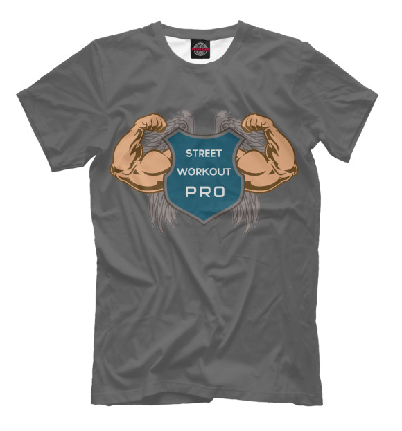 Мужская футболка с изображением STREET WORKOUT цвета Серый