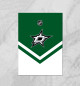 Dallas Stars