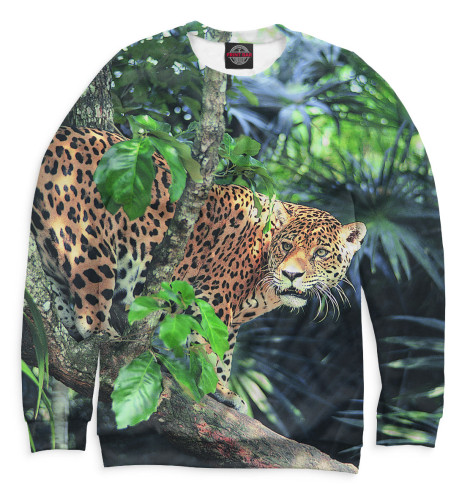 

Свитшоты Print Bar, Белый, Леопард