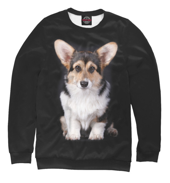 Свитшот для мальчиков с изображением Вельш корги кардиган цвета Белый