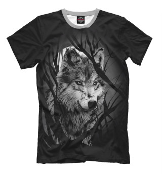 Футболка для мальчиков Grey Wolf