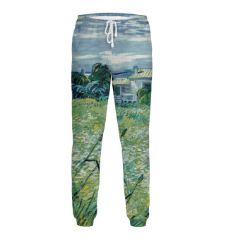 Мужские спортивные штаны Ван Гог. Зеленое пшеничное поле с кипарисом