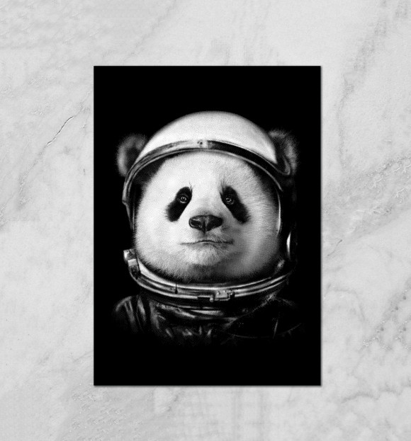 Плакат с изображением Панда астронавт цвета Белый