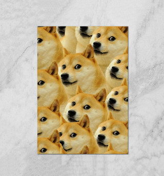 Doge
