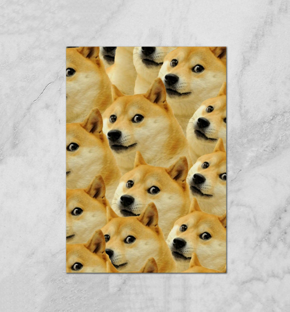 Плакат с изображением Doge цвета Белый