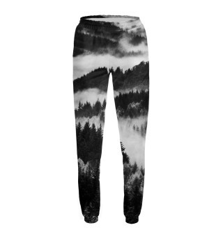 Лес и туман