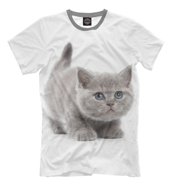 Мужская футболка с изображением Котик цвета Молочно-белый