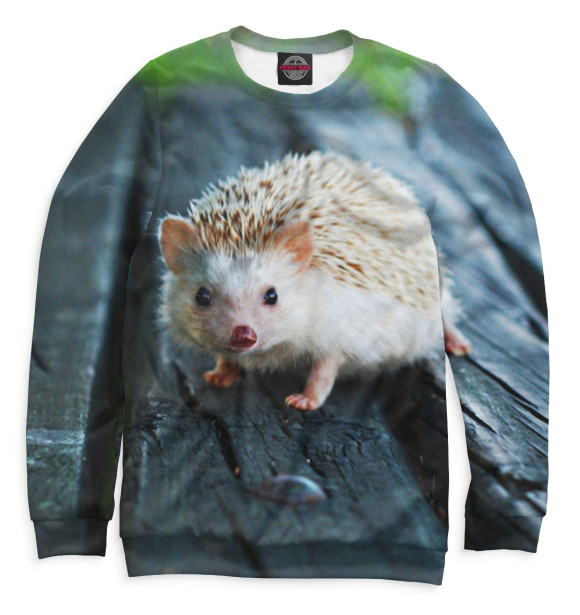 Женский свитшот с изображением Ёжики цвета Белый