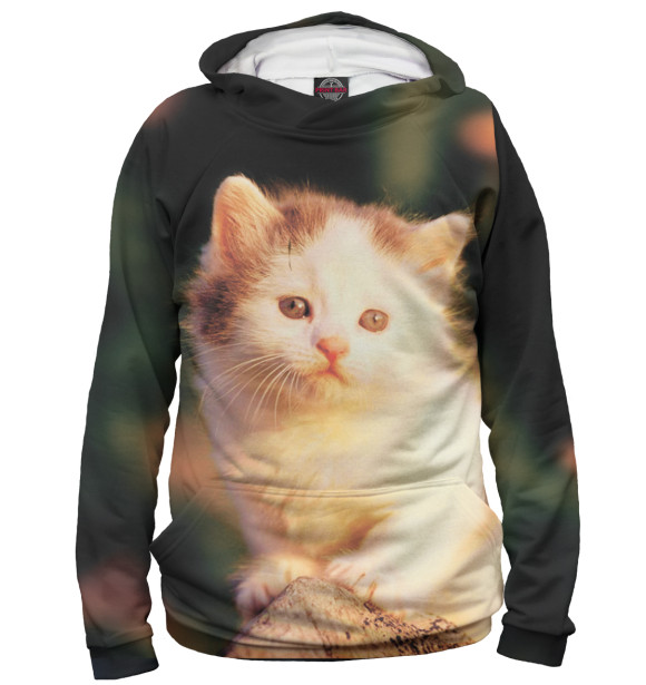 Мужское худи с изображением Коты цвета Белый