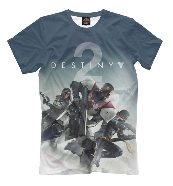 Мужская футболка с изображением Destiny 2 цвета Серый