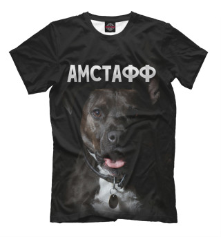 Амстафф