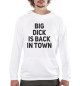 Мужское худи Big Dick is Back in Town