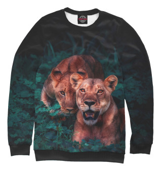 Lions