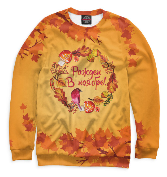 Свитшот для мальчиков с изображением Рожденные в ноябре (парный М+Ж) цвета Белый