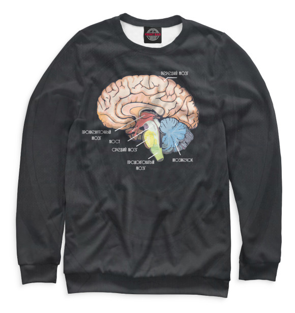 Мужской свитшот с изображением Мозг цвета Белый