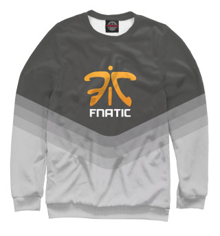 Свитшот, Футболка, Майка, Майка борцовка, Худи, Пляжная сумка  Fnatic Team