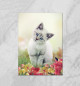 Котенок