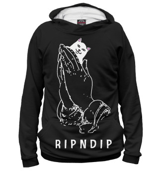 Кот - RIPNDIP