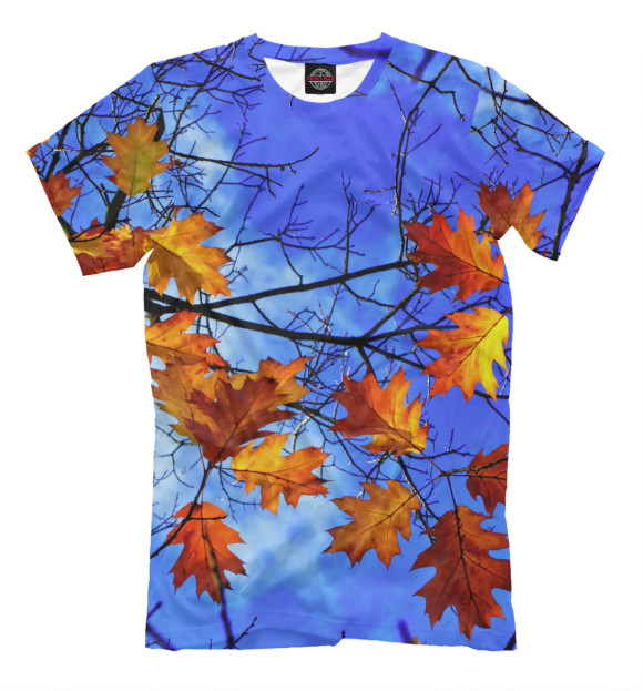 Мужская футболка с изображением Autumn цвета Грязно-голубой