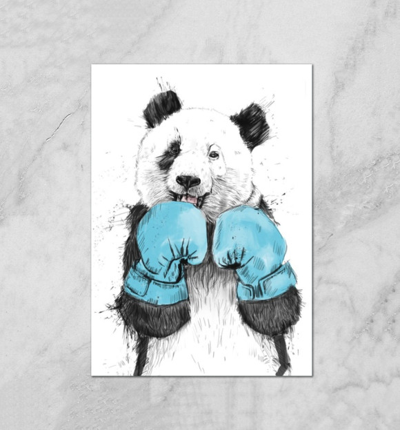 Плакат с изображением Панда боксер цвета Белый