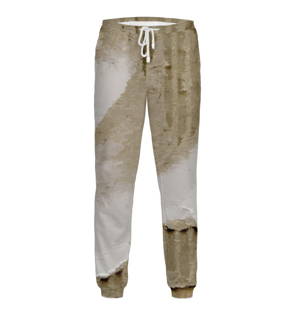Мужские спортивные штаны с изображением Леонардо да Винчи цвета Белый