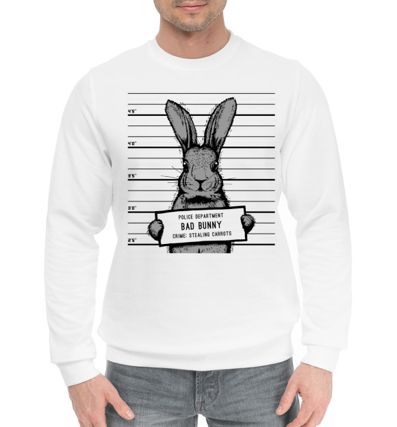 Мужской хлопковый свитшот с изображением Кролик цвета Белый