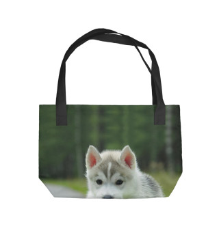 Хаски
