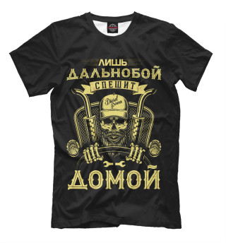 Лишь дальнобой спешит домой