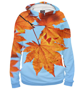 Осенние кленовые листья