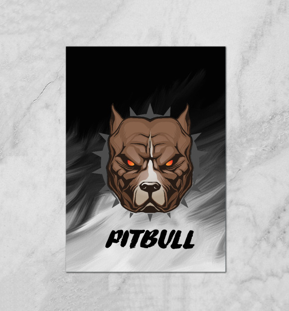 Плакат с притом Pitbull цвета Белый Плакат с изображением Pitbull цвета Белый