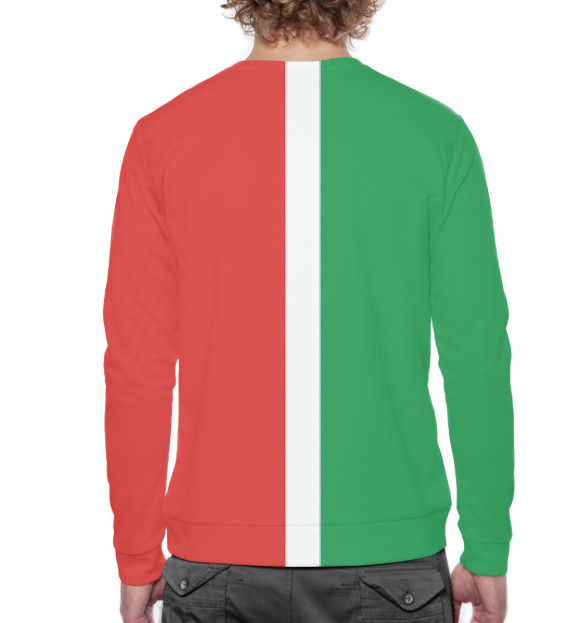 Мужской свитшот с притом Флаг Татарстана цвета Белый Мужской свитшот с изображением Флаг Татарстана цвета Белый