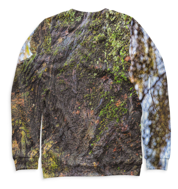 Мужской свитшот с изображением Енот цвета Белый