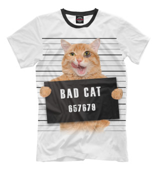 Мужская футболка Плохой кот