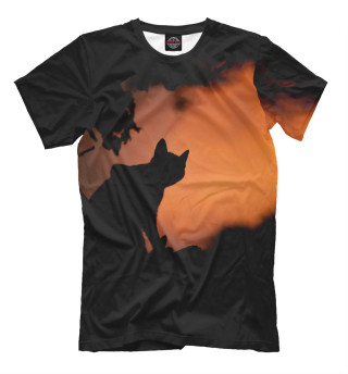 Мужская футболка Кот в закате