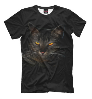 Мужская футболка таинственный кот