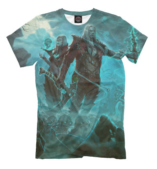 Мужская футболка Diablo III