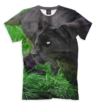 Пантера на траве