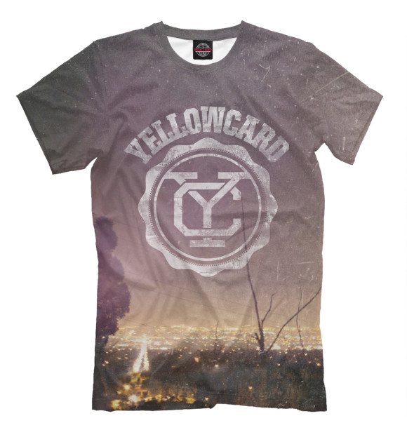 Футболка для мальчиков с изображением Yellowcard цвета Серый