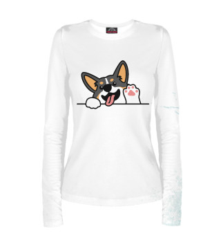Cute Welsh Corgi Tricolor