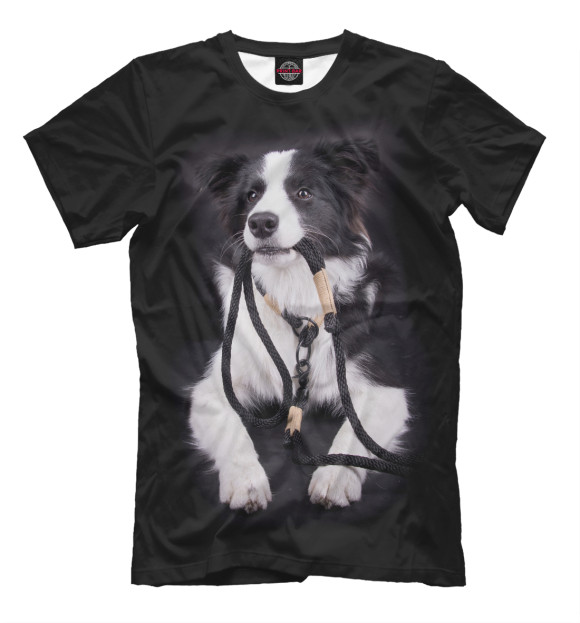 Футболка для мальчиков с изображением Бордер - колли цвета Белый