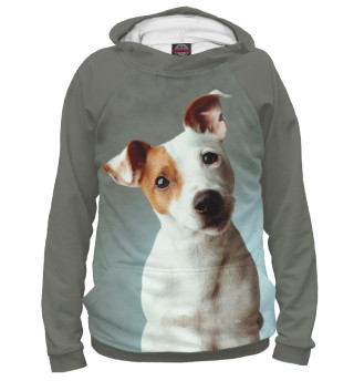 Худи для девочки Jack Russell Terrier