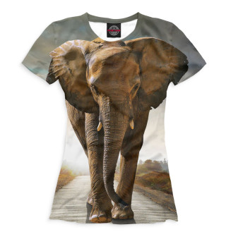 Женская футболка Слоны