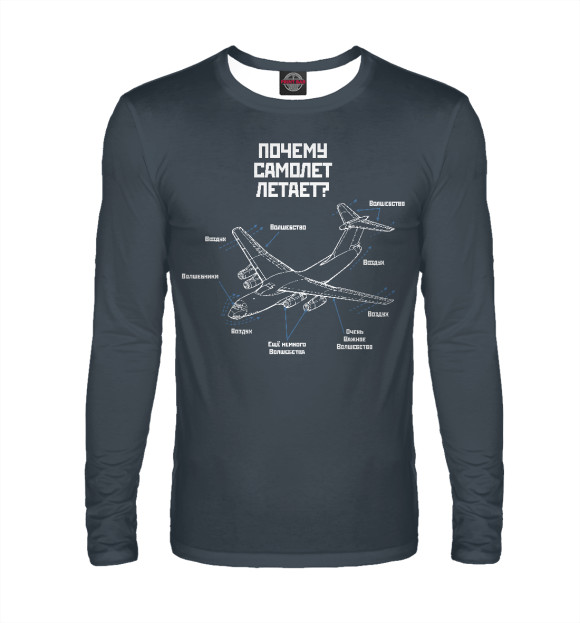 Мужской лонгслив с изображением Почему самолет летает? цвета Белый