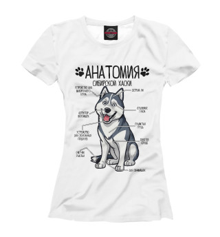 Женская футболка Сибирский Хаски анатомия строение собаки