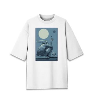 Женская футболка оверсайз Гном и Луна