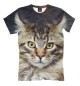 Мужская футболка Пушистый кот