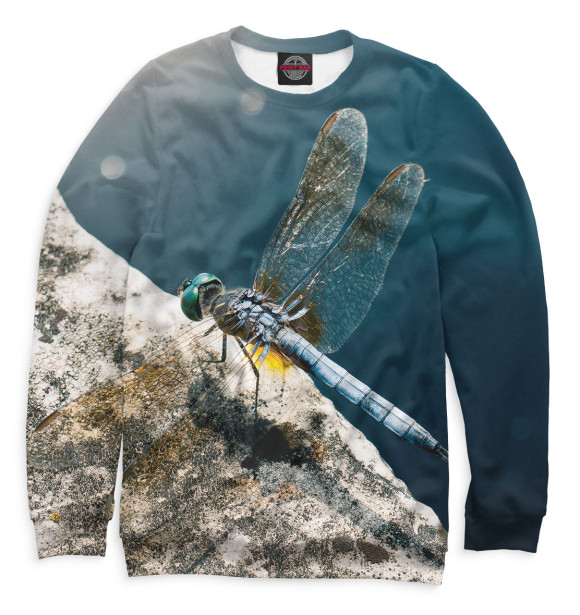 Мужской свитшот с изображением Насекомые цвета Белый