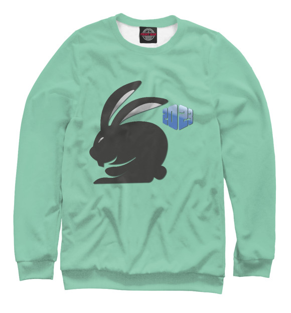 Свитшот для мальчиков с изображением Черный кролик 2023 цвета Белый